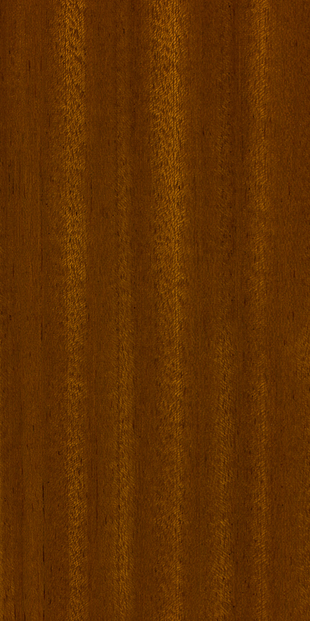 Sapele